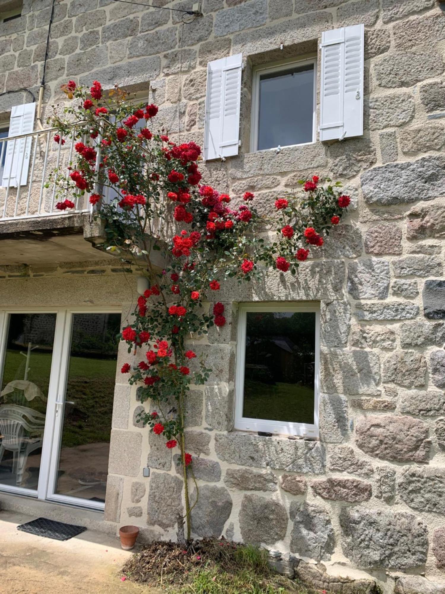 Villa Ferme Au Calme A 15Mn Du Chambon Sur Lignon Saint-Jeures Exterior foto